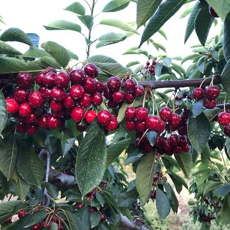 Finca La Foia El Pou Confrides Exterior foto